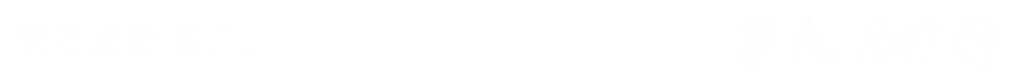 WCAG 2.1 w